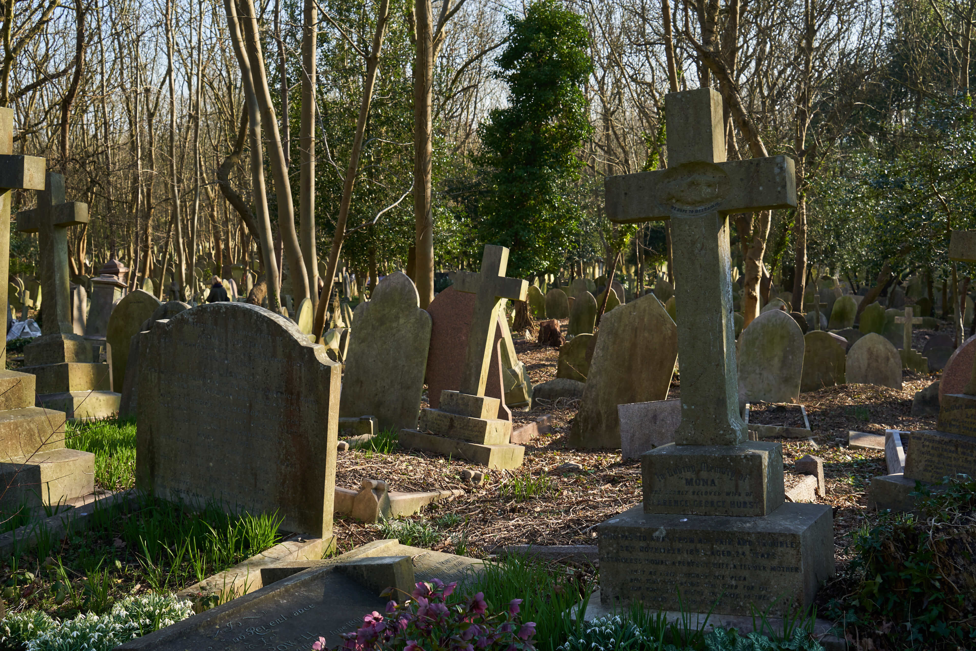 ハイゲイト墓地 Czj