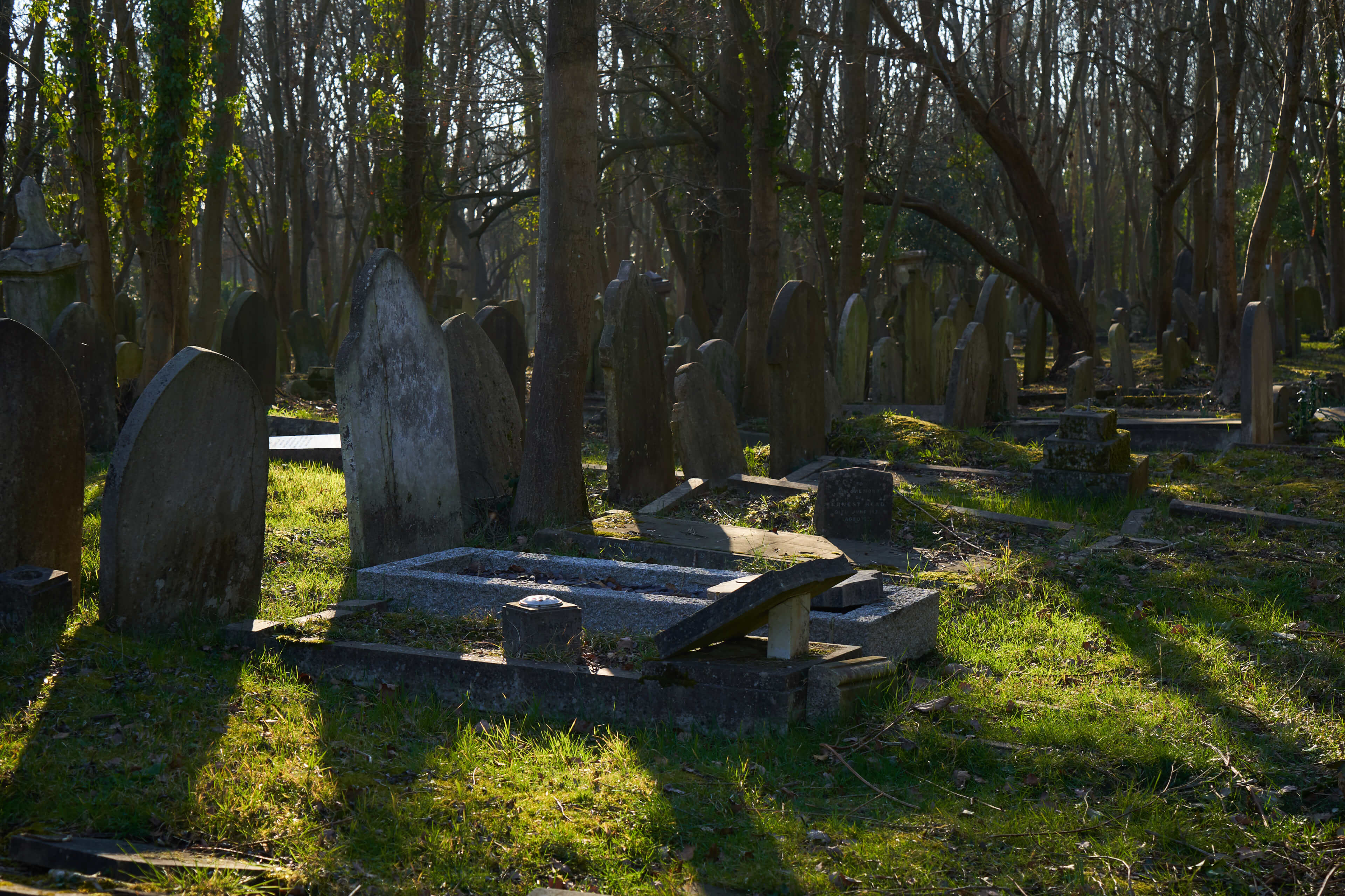 ハイゲイト墓地 Czj