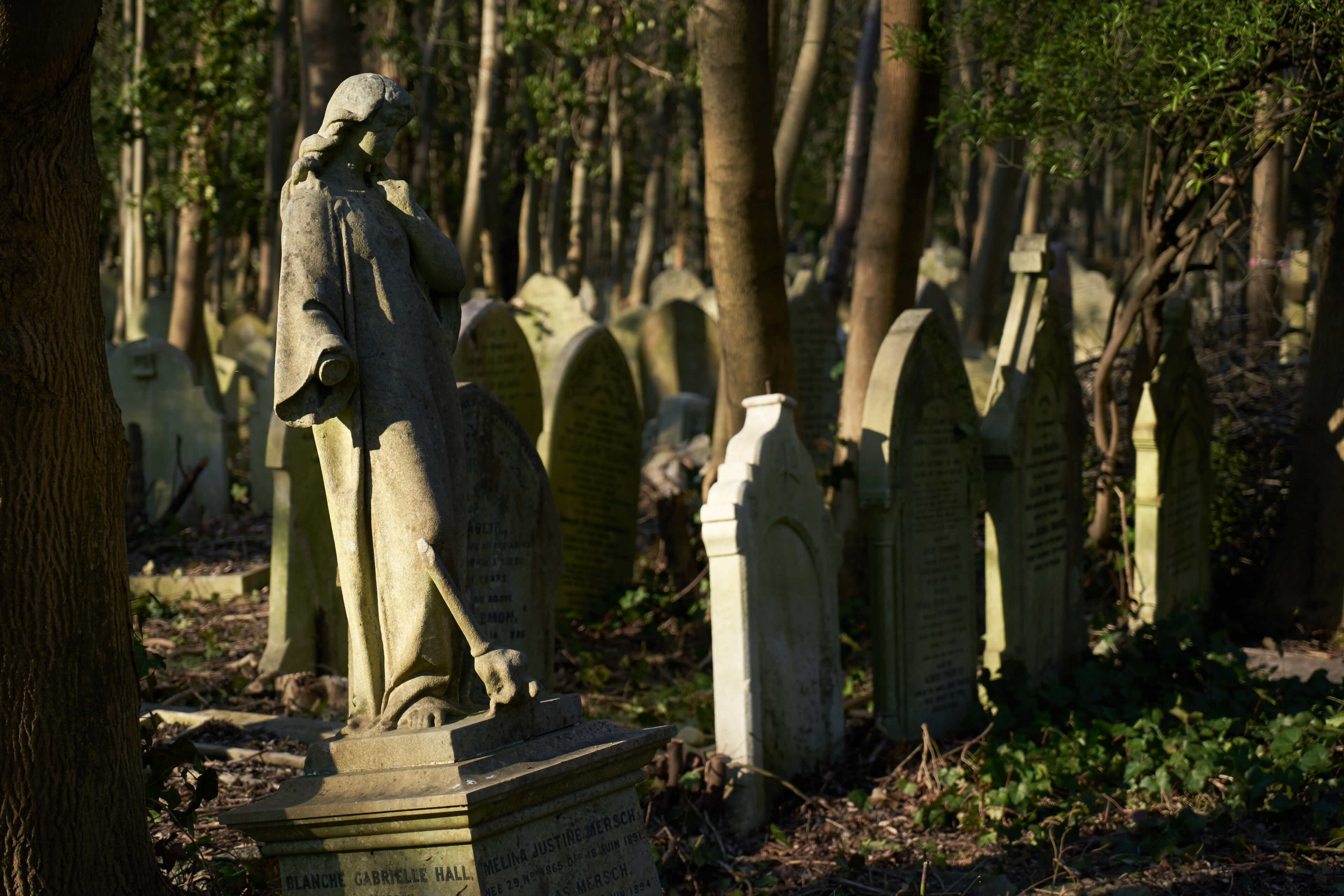 ハイゲイト墓地 Czj