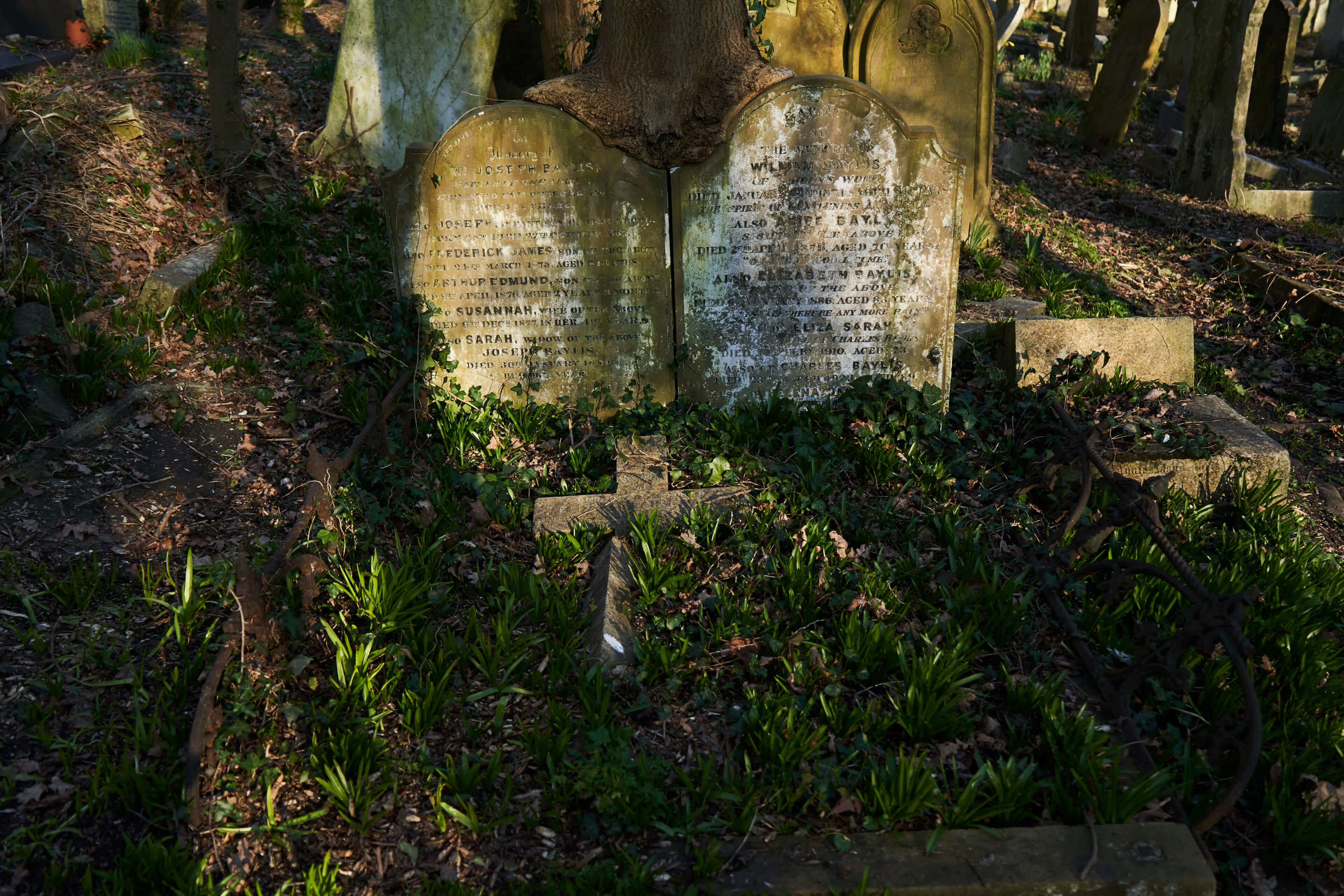 ハイゲイト墓地 Czj